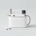 Electric garden disinfection sprayer
