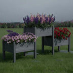 Garden Bed